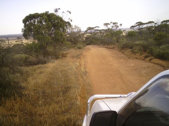 Ab in den Busch!!!!!!!!!