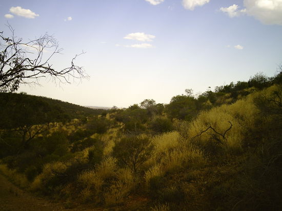 ja hier ist man wirklich allein!!!