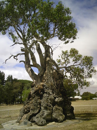 hier musste der Phil wohnen weil er mal wieder frech war!!!