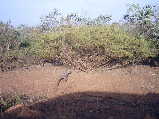 ... entlang der Strasse...