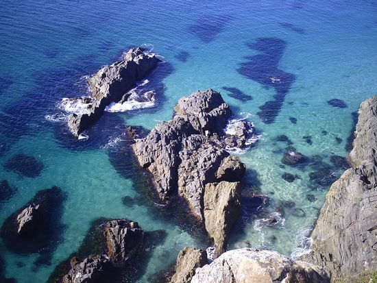 Suchbild: 
Irgendwo da unten ist ein Delfin