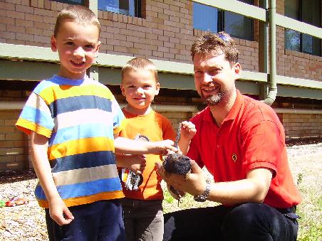 Den Bearded Dragon hat uns John Lemon vom Research Center gefangen
