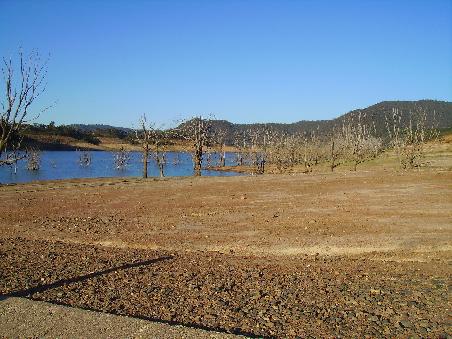 Eildon Lake National Park
Was war wohl zuerst da - der Stausee oder der National Park?