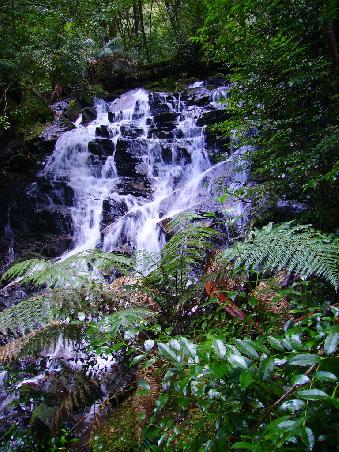 Cora Lynn Falls