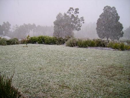 später nachmittag: Schneetreiben, eingeschränkte Sicht.