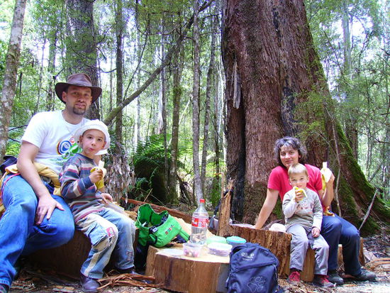 Picknick am Tall Trees Wanderweg