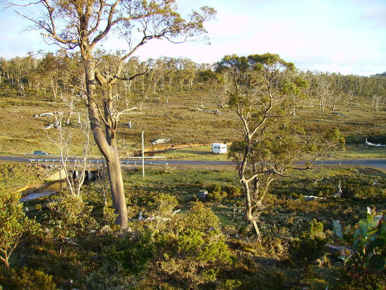 Wildes Campen am Iris River