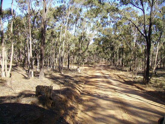 Der Heathcote Nationalpark bescherte uns noch eine Irrfahrt...