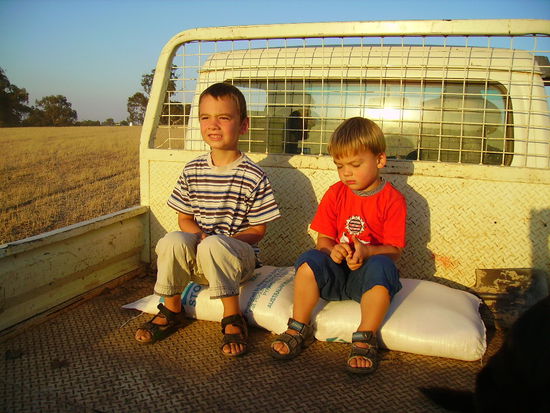 Piet und Theo begleiten den Farmer: Frueh um 7 werden die Schafe mit Getreide gefuettert - auf den Weiden ist nicht mehr genug zu holen.