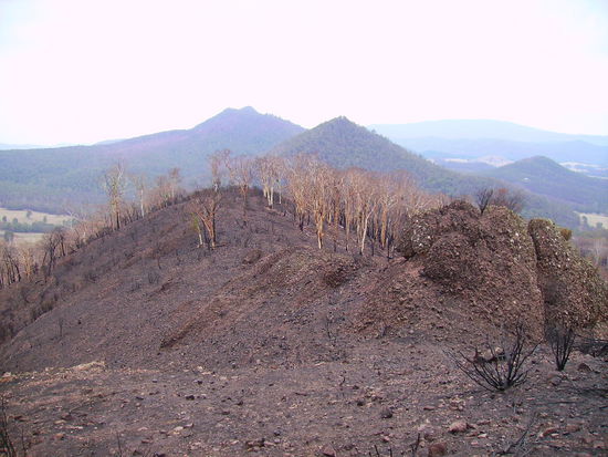 nich mehr viel uebrig...