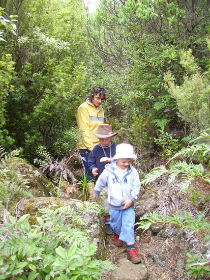 ab durch die Mitte! Streckenweise ganz schön überwuchert und märchenhaft