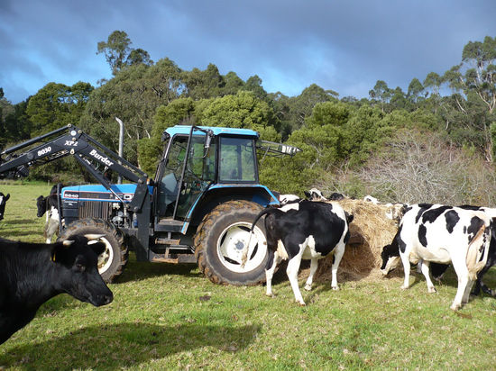 Marios Arbeitsfahrzeug und hungrige Kunden