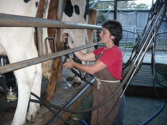 - und her mit der Milch!