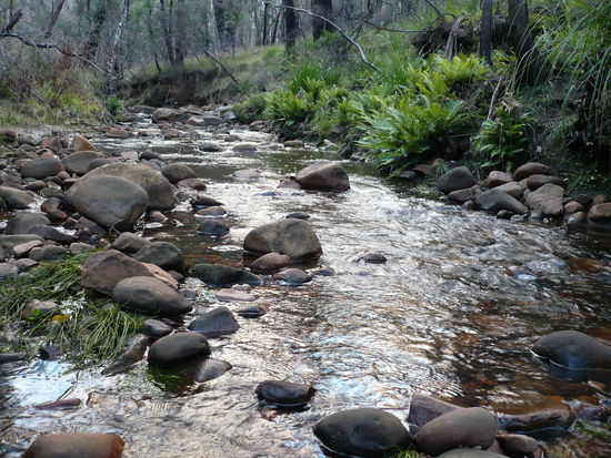 Am Campingplatz Borough Huts