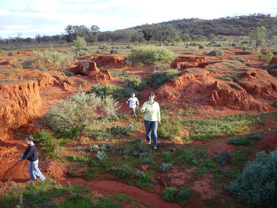 Weide am Strassenrand - Wenn es Wasser gibt, wäscht es mächtig was an Boden weg