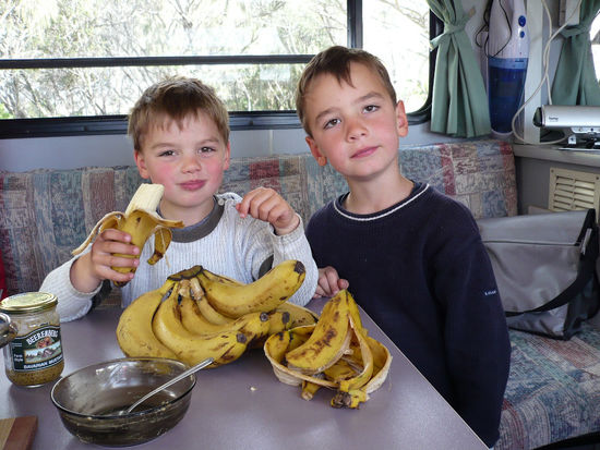 Coffs Harbour ist die (südlichste) Bananenhochburg-sehr zur Freude der Jungs