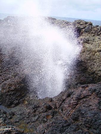 Kiama Blowhole