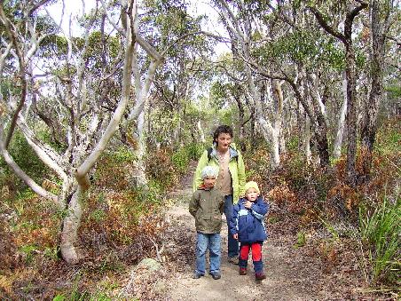 Auf dem Scribbly Gum Track