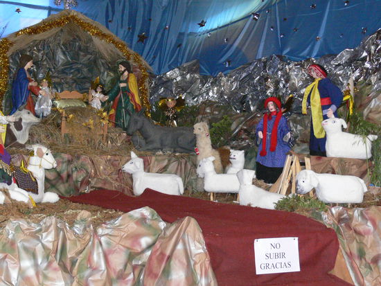 Wer findet das Lama?