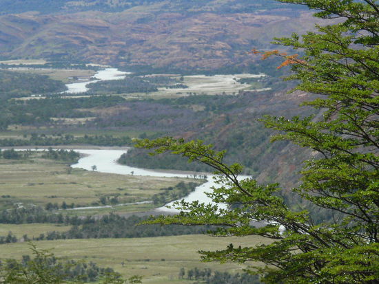 Im Tal des Río Paine