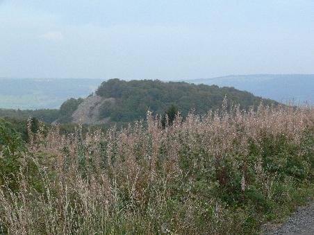 Der Schafstein