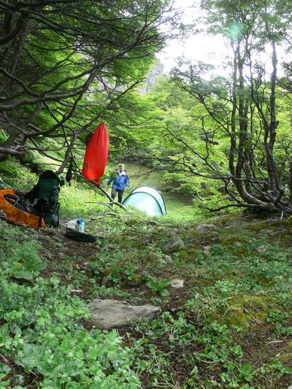 Gut versteckt, oder?