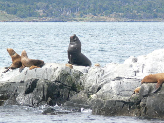 Hier bin ich der Chef!