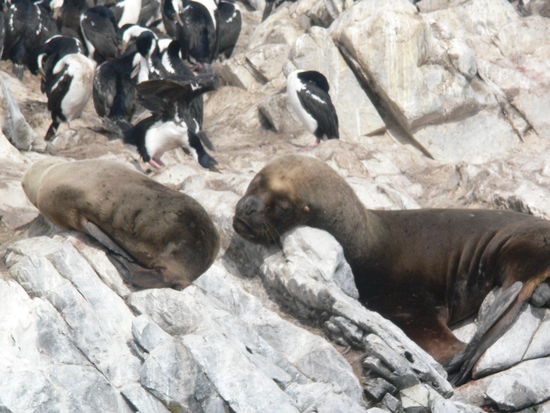 UUUaaaahhhhhhh ist das bequem hier!