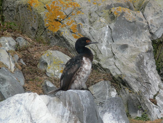 Mami, wann kommst du? Ich habe Hunger!
