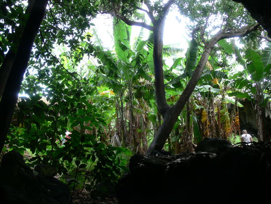 Blick in den "Höhlengarten"