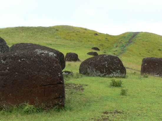 fertiggestellt aber nie abgeholt: rote Steinhaarknoten