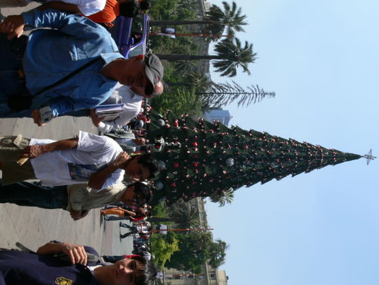 Man sieht: auf der Südhalbkugel ist alles ein bisschen anders, da stehen sogar die Bilder schief 