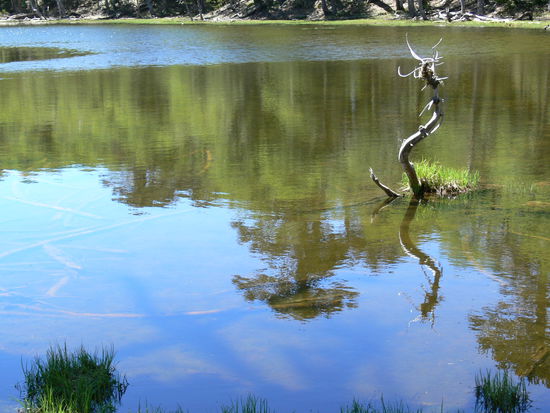 Spiegelung in der Laguna Los Patos