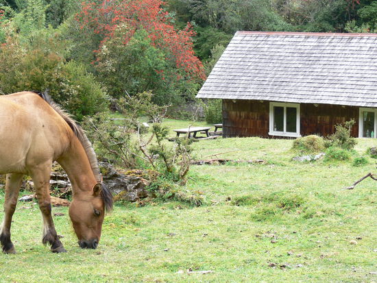 Blick von unserem Zelt über den Platz - inkl. umweltfreundlichem Rasenmäher