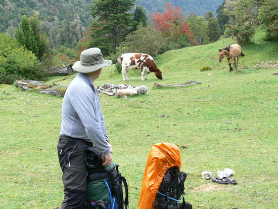 "Ihr könnt wieder kommen! Wir sind gleich weg!"