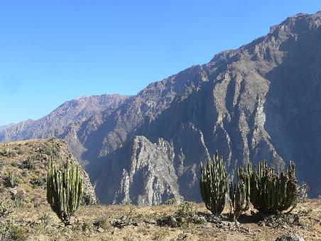 Colca Canyon