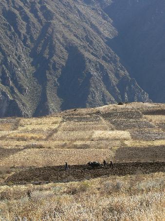 Colca Canyon