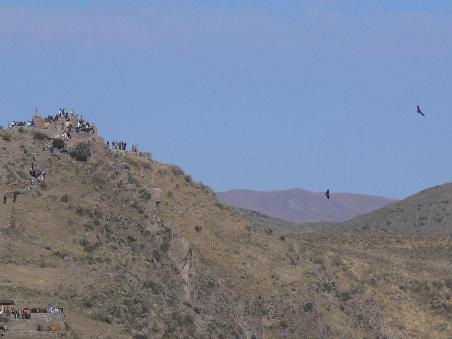 Touris & Condors