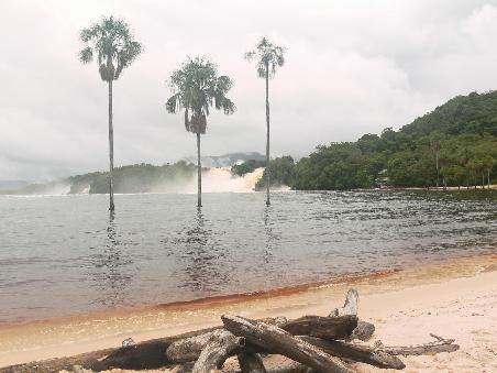 Der Postkartenblick auf die Lagune in Canaima. Leider alles zugezogen...