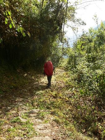 Der Inka laeuft wieder auf einer alten Inka Strasse
The Inka is walking again on an old Inka road