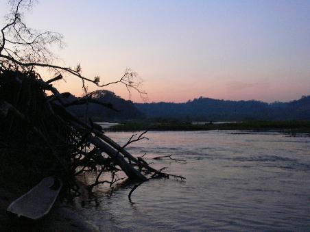 Abendstimmung im Dschungel
Sunset in the jungle