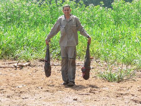 Fishing or hunting?
Es gab keine Angel - nur die Machete!
There was no fishing rod - only the machete!