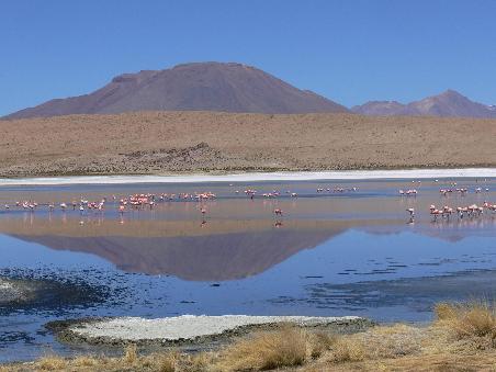 Der "blaue" See auf 4300m und eine Menge Flamingos, die dort leben
The "blue" lake on 4300m and a huge amount of Flamingos living there
