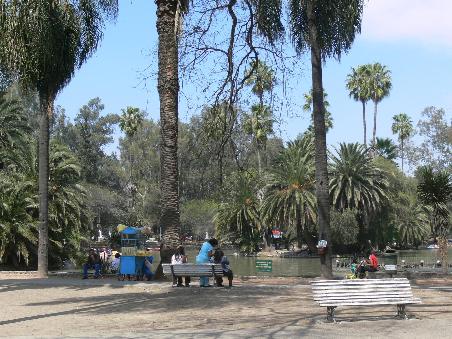 Endlich wieder Gruen! In Parks entspannen die Leute am Wochenende.
Once again green! People relaxing in parks at the weekend.