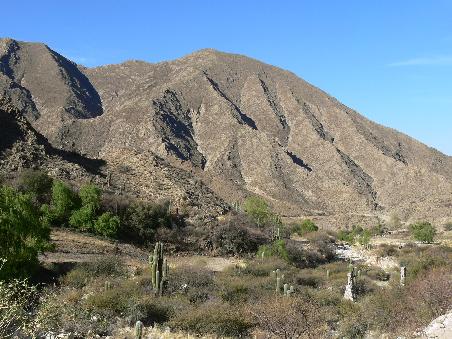 Die Steppenlandschaft und die meterhohen Kakteen
The steppe landscape and the meter high cactuses
