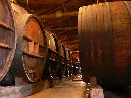 Das Weingut von Innen
Inside a vineyard