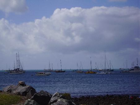 Vor der Lagune Airlie Beach'