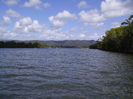 Daintree River