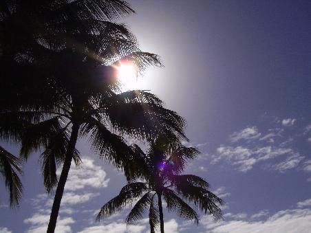 Port Douglas Richtung Himmel
