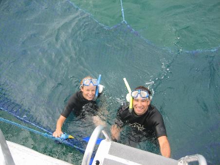 Beim Synchronschwimmen mit Delphinen - Bay of Islands